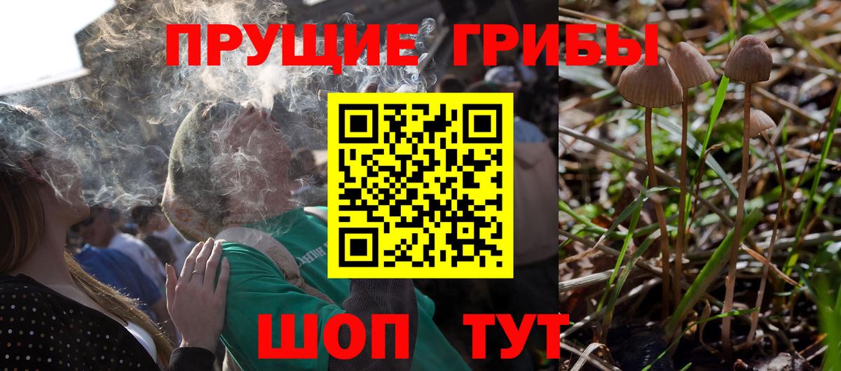 цена наркотик  Вход с VPN  Галлюциногенные грибы мухоморы  Златоуст  Галлюциногенные грибы Magic Shrooms 
