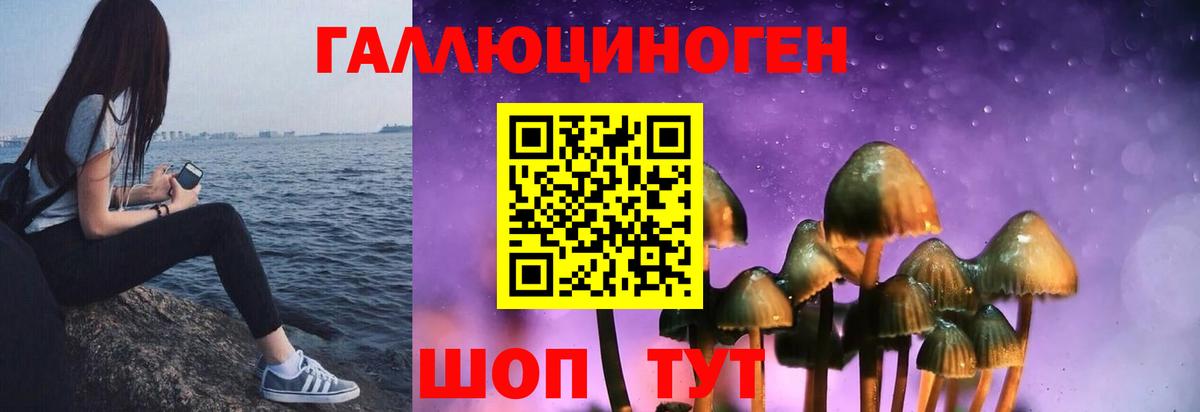 Галлюциногенные грибы Cubensis Златоуст